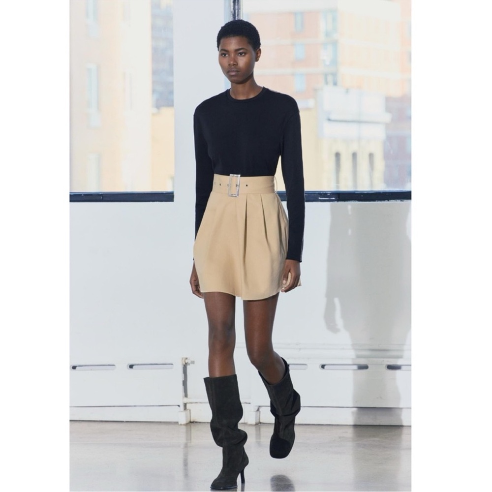 Zara Beige and Black belted dress